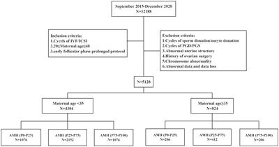 Analysis of cumulative outcomes and influencing factors of patients with discrepancies between age and AMH levels in the early follicular phase prolonged protocol